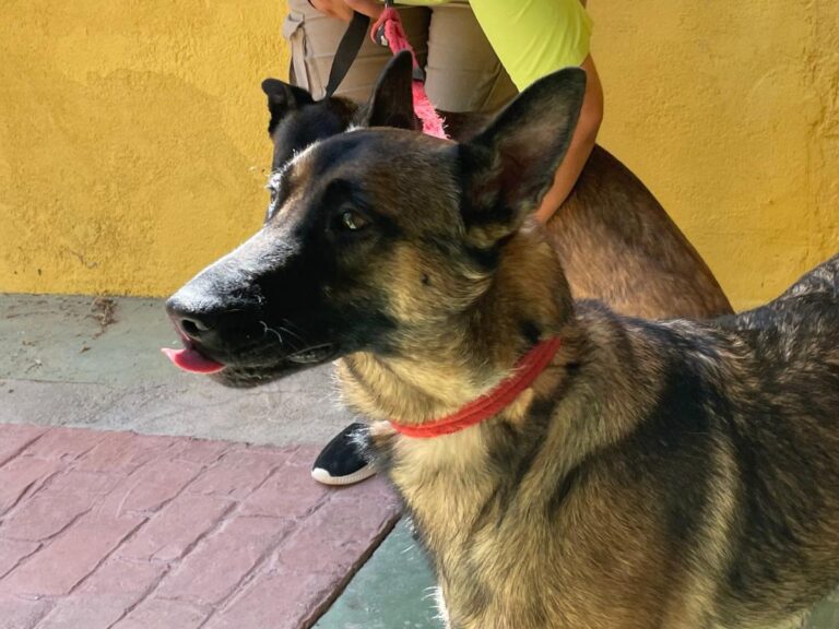 multimedia-foto79749-851-1