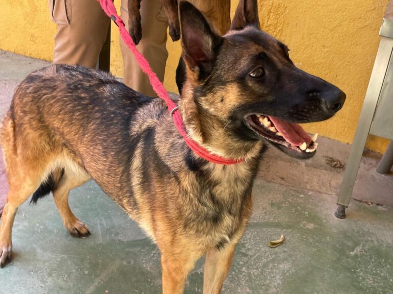 multimedia-foto79750-851-1