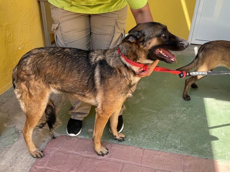 multimedia-foto79751-851-1