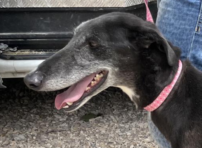 multimedia-foto79762-542-1