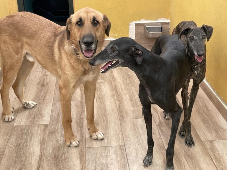 multimedia-foto79764-543-1