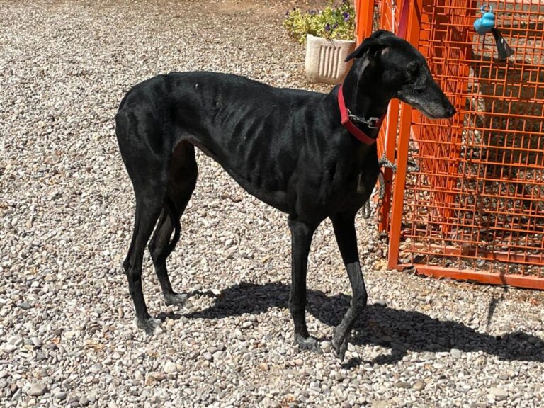 multimedia-foto79765-543-1