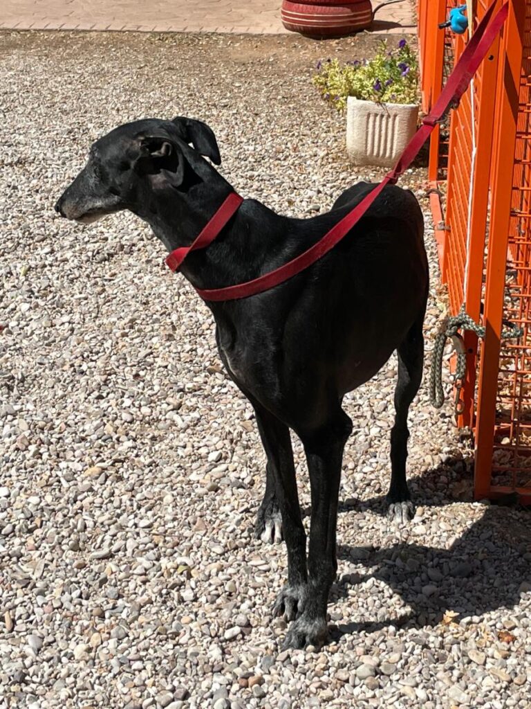 multimedia-foto79766-543-1