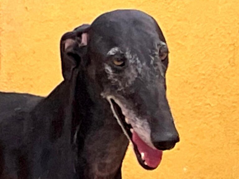 multimedia-foto79767-543-1