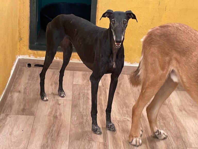 multimedia-foto79768-544-1