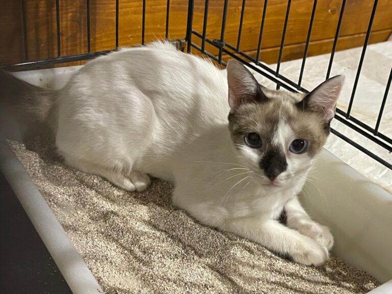 multimedia-foto79799-294-1