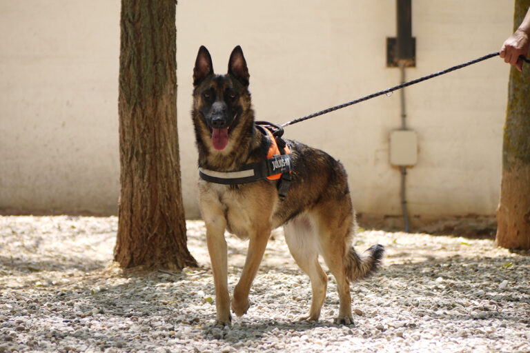 multimedia-foto79833-410-1