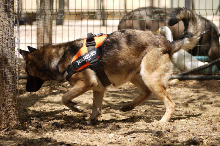 multimedia-foto79834-411-1