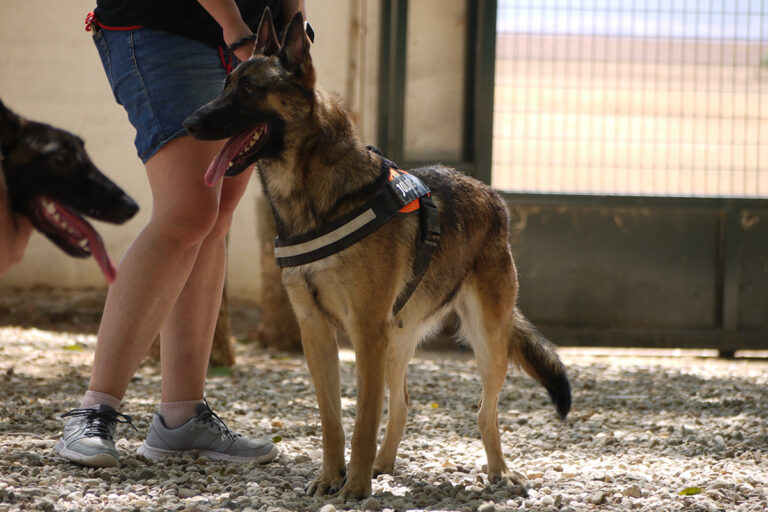 multimedia-foto79835-411-1