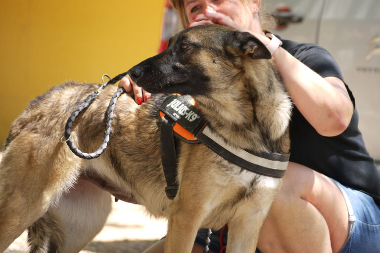 multimedia-foto79836-411-1