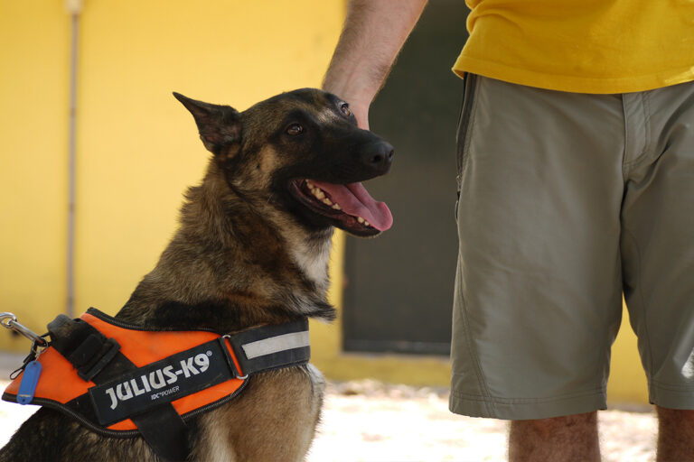 multimedia-foto79838-411-1