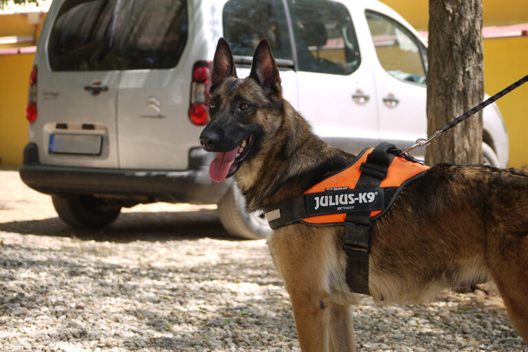 multimedia-foto79839-412-1