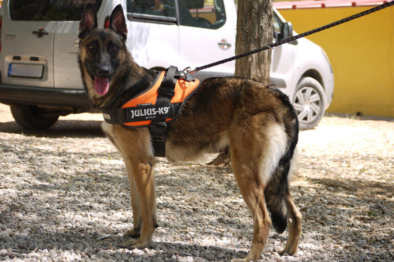 multimedia-foto79840-412-1