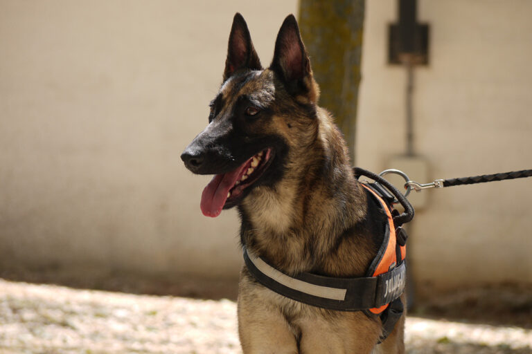 multimedia-foto79841-412-1