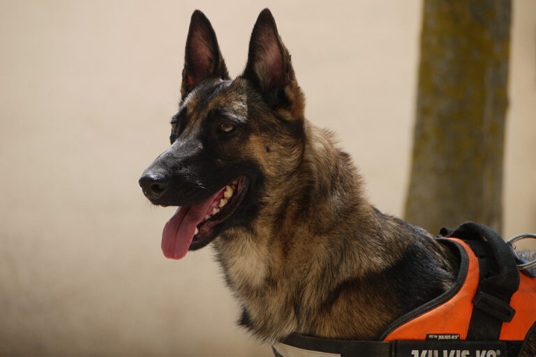 multimedia-foto79843-412-1