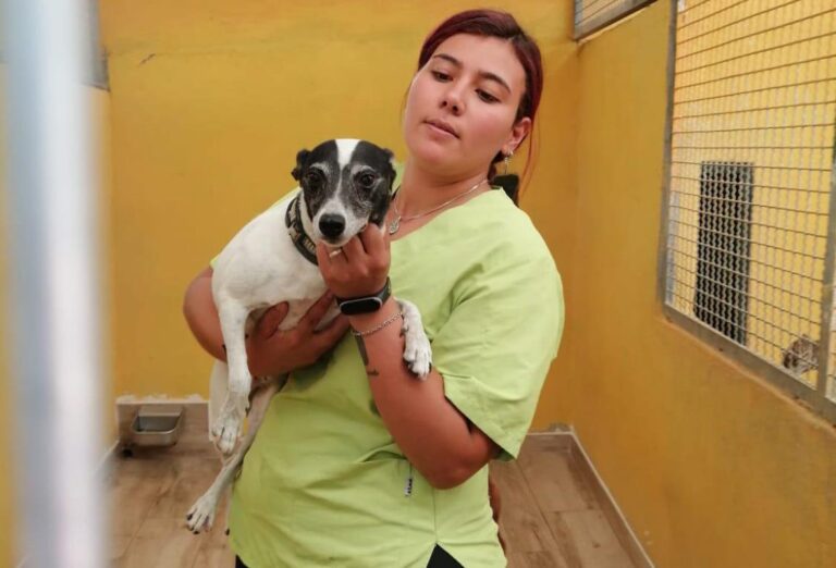 multimedia-foto79854-319-1