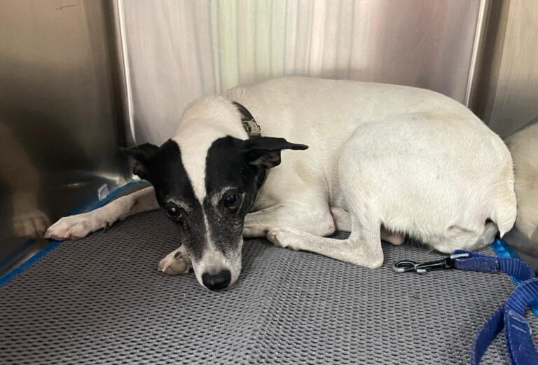 multimedia-foto79856-320-1