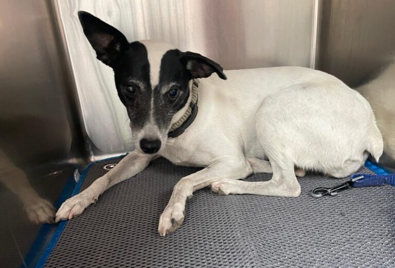 multimedia-foto79857-320-1