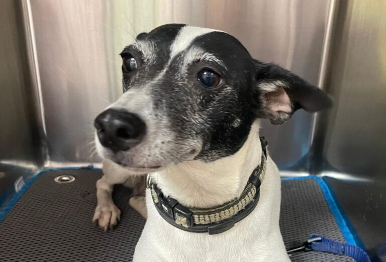 multimedia-foto79858-320-1