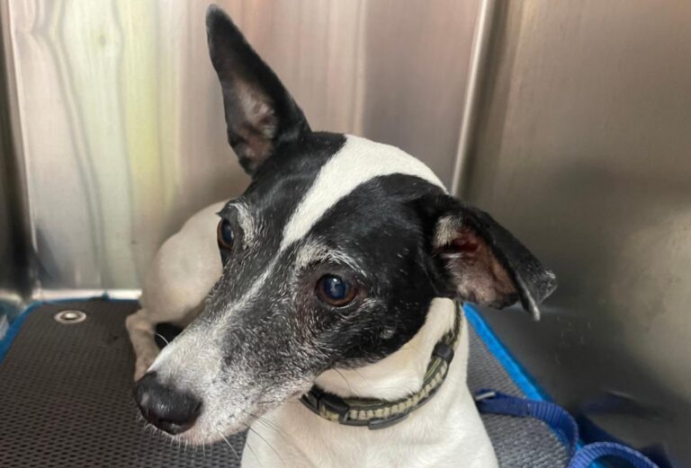 multimedia-foto79859-320-1