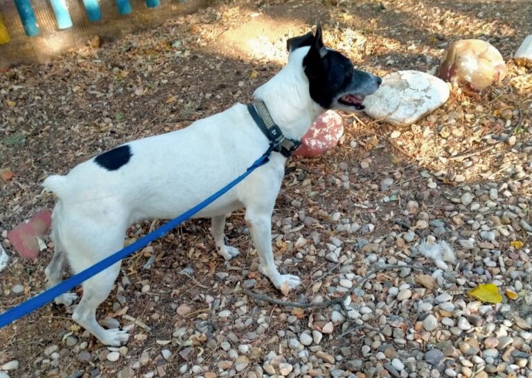 multimedia-foto79861-207-1