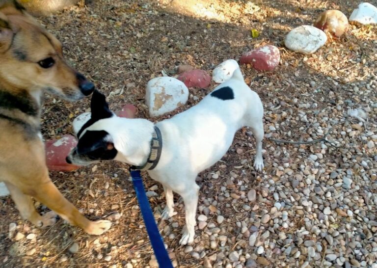 multimedia-foto79863-207-1