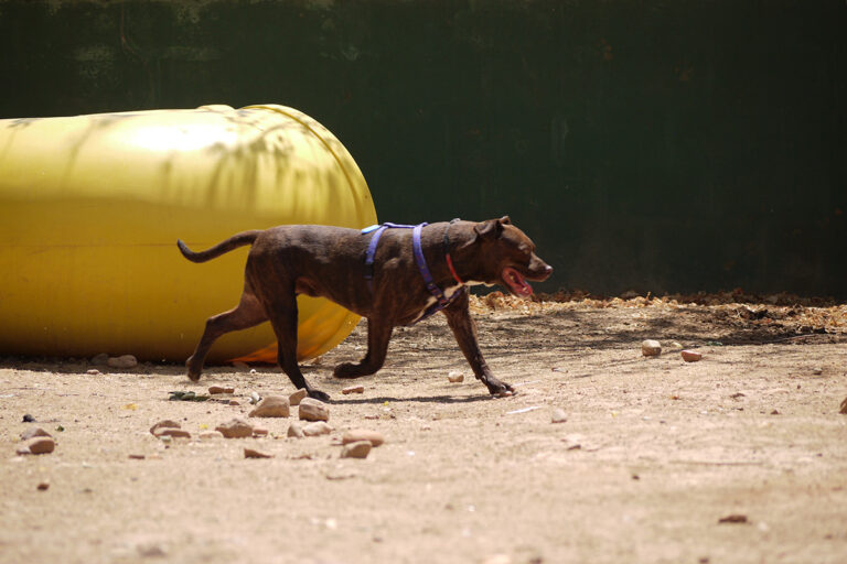 multimedia-foto79868-892-1