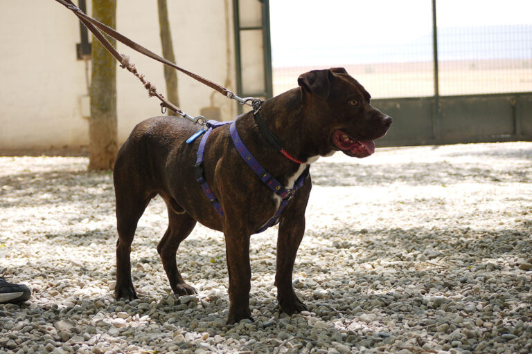 multimedia-foto79869-892-1