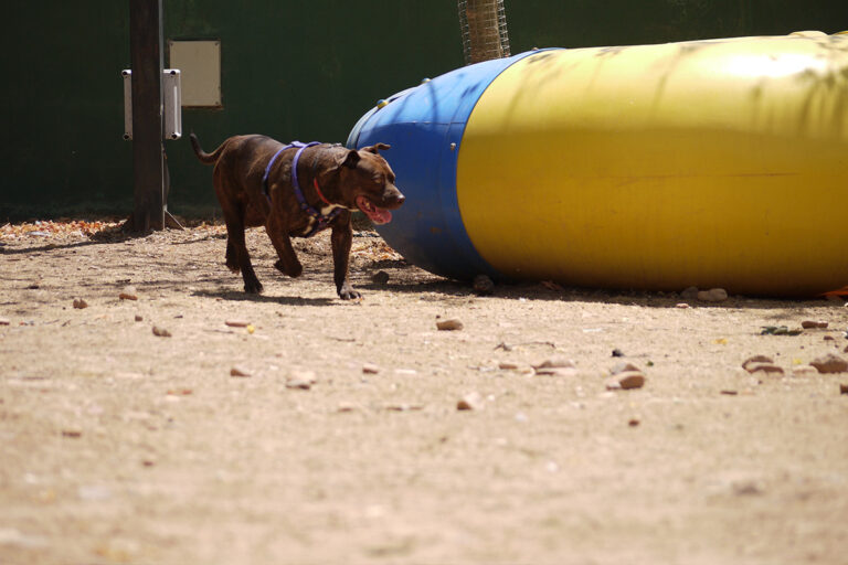 multimedia-foto79870-892-1