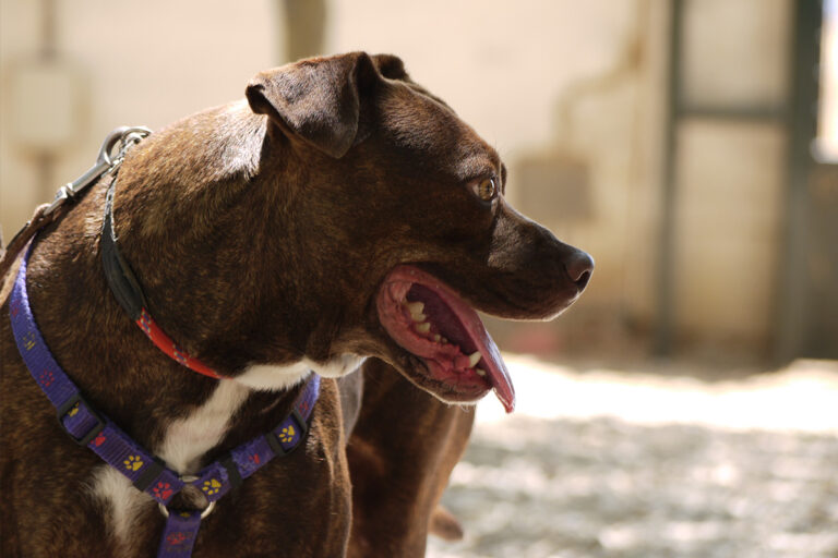 multimedia-foto79871-893-1