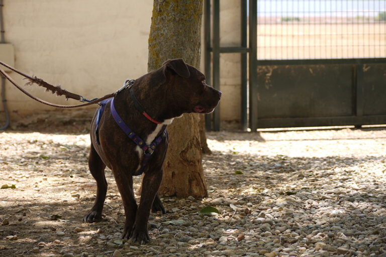 multimedia-foto79873-893-1