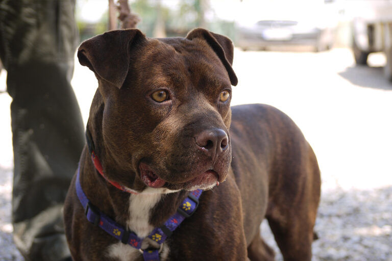 multimedia-foto79874-893-1