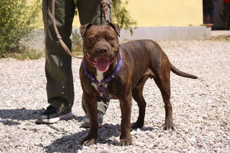 multimedia-foto79875-893-1