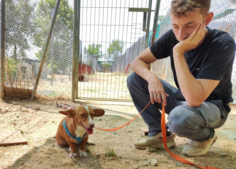 multimedia-foto79877-188-1