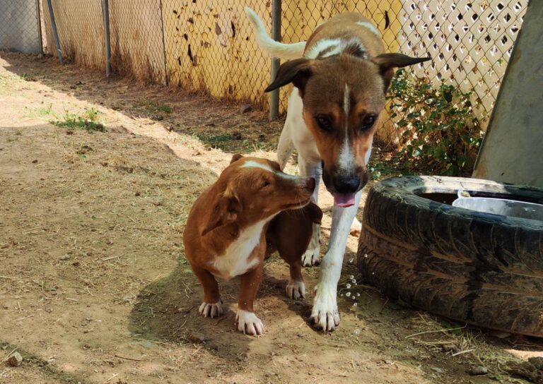 multimedia-foto79878-188-1