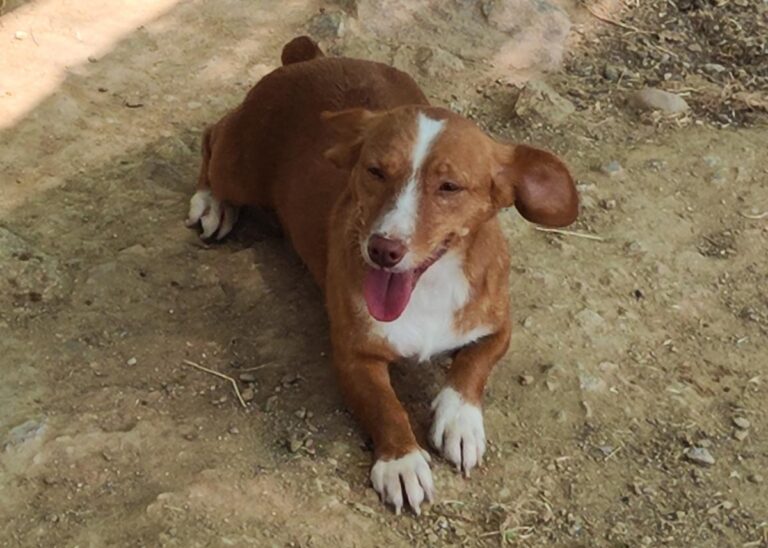 multimedia-foto79879-188-1