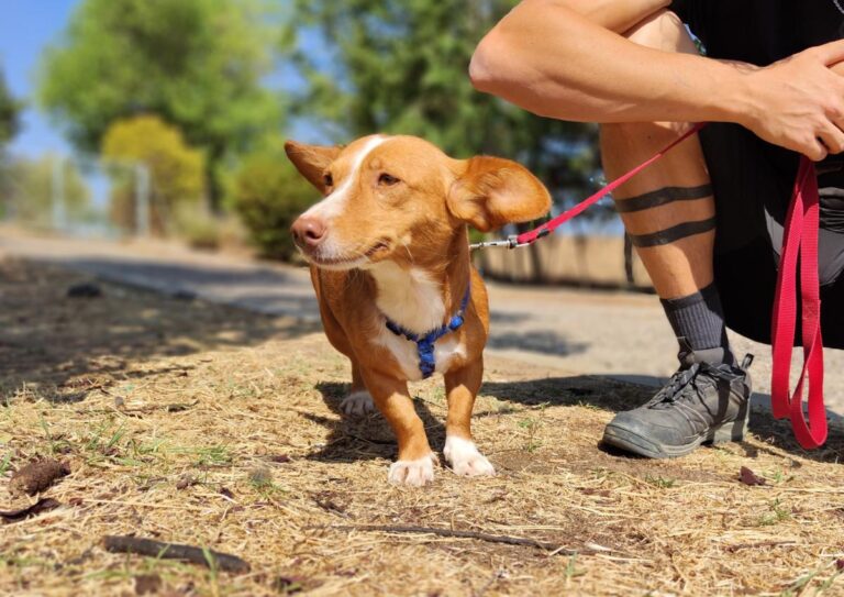 multimedia-foto79892-236-1