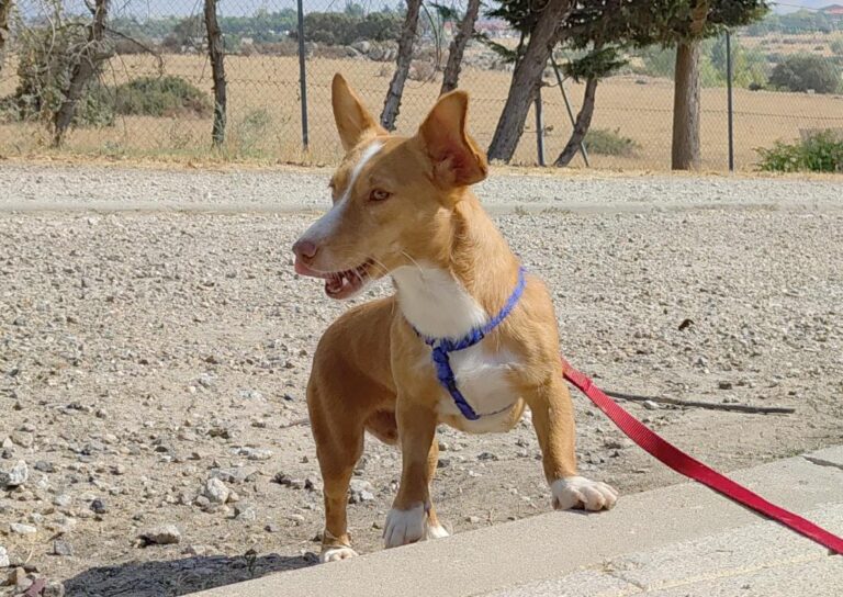 multimedia-foto79893-236-1