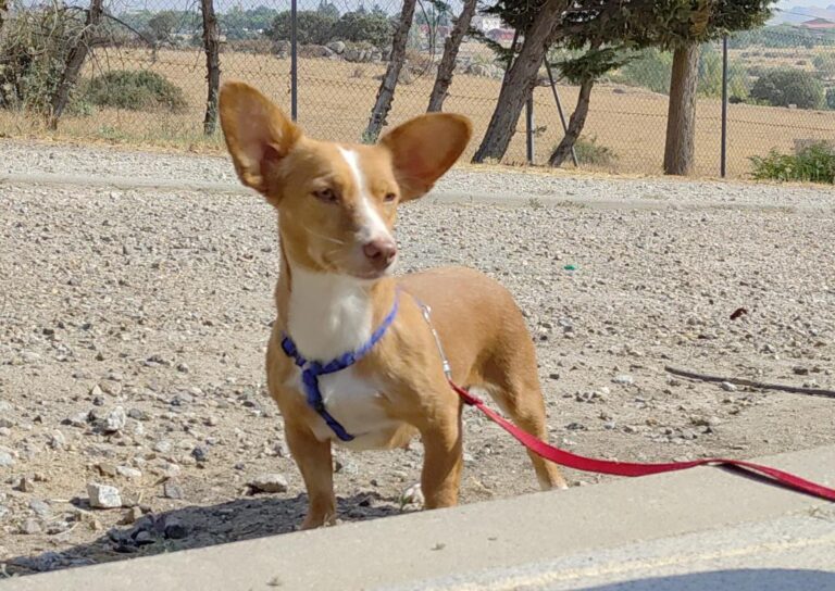 multimedia-foto79894-236-1