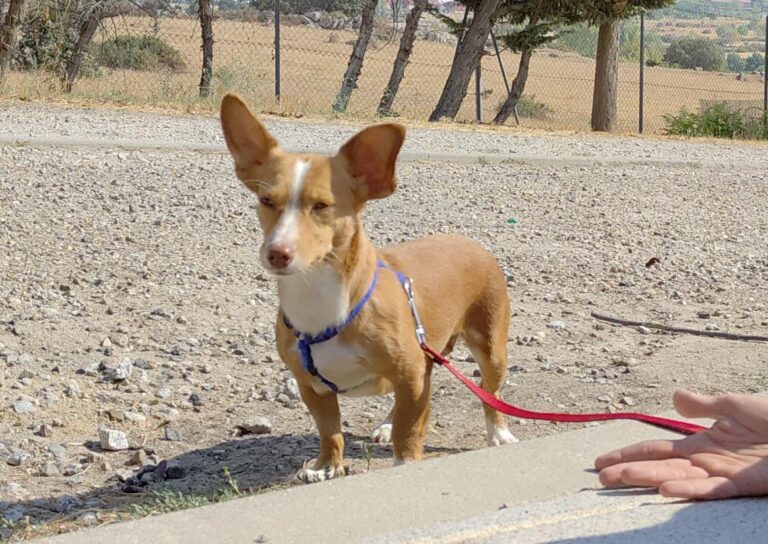 multimedia-foto79895-236-1