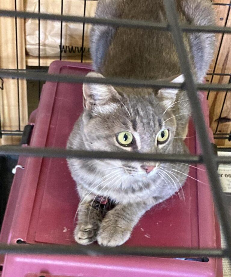 multimedia-foto79909-123-1