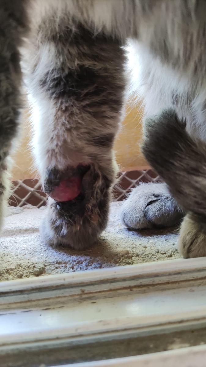 multimedia-foto79912-124-1