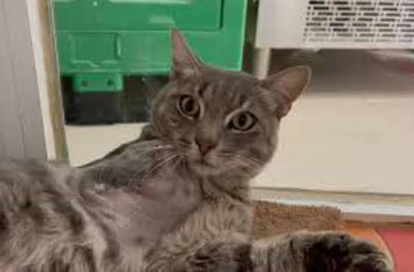 multimedia-foto79913-124-1