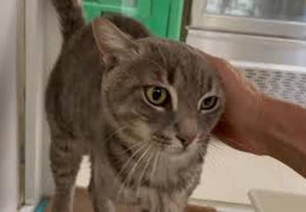 multimedia-foto79915-124-1