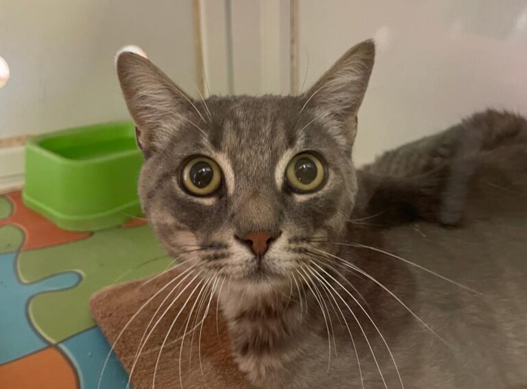 multimedia-foto79917-124-1