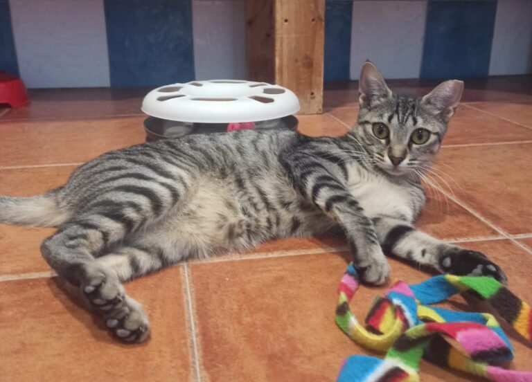 multimedia-foto79931-701-1