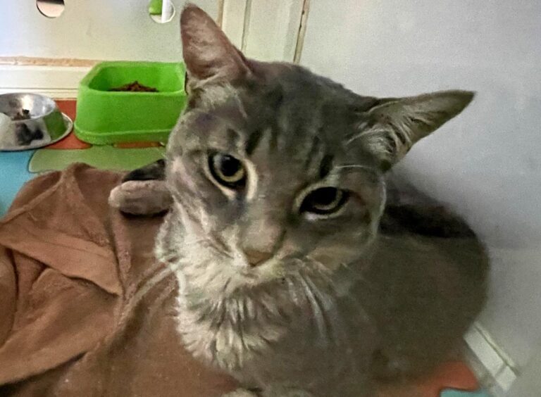 multimedia-foto79949-478-1