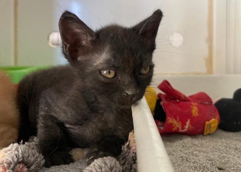 multimedia-foto79993-565-1