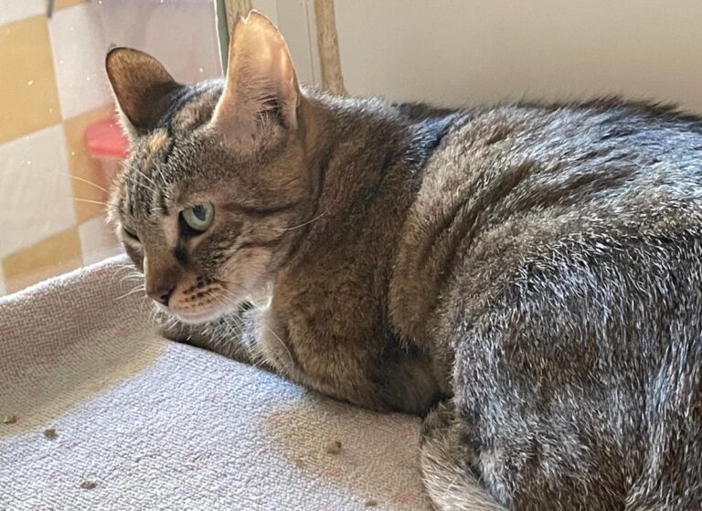 multimedia-foto80017-930-1