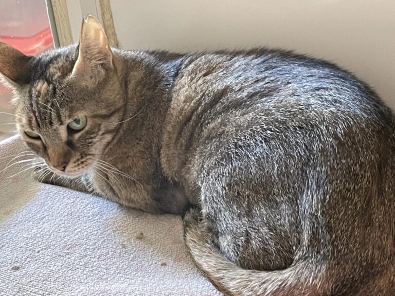 multimedia-foto80018-930-1